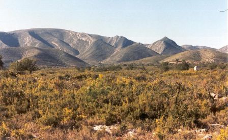 Catadau, la sierra del Caballón