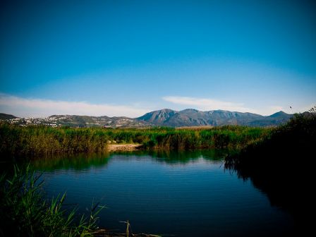 Parque natural Marjal de Pego-Oliva